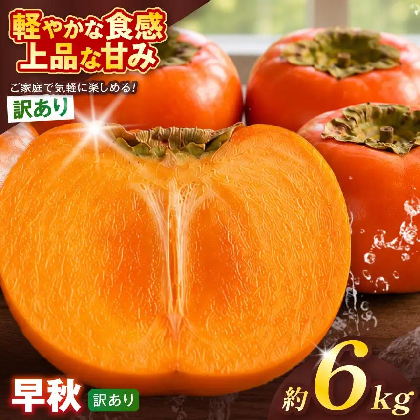 【訳あり品】 早秋 柿 28個／6kg ( 1箱 ) 先行予約 令和8年10月中旬順次発送 | さのっち農園