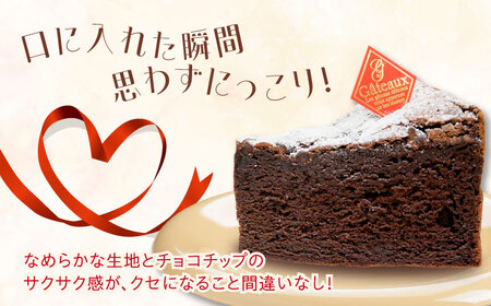 【全12回定期便】しっとりなめらかがたまらない！ガトーショコラ7号(21cm) ケーキ チョコ お菓子 スイーツ 記念日 洋菓子 贈答 ご褒美 ギフト お取り寄せおやつ 江田島市/美谷ファーム[XBD
