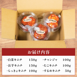 【お試し6種】 海鮮キムチ 辛口  詰め合わせセット 食べ比べ 冷蔵 かわち屋のキムチ