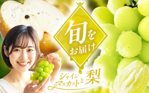 【★先行予約★　8月下旬発送開始★】フルーツ詰合せ（シャインマスカット3パック&梨3個）　広川町 / JAふくおか八女農産物直売所どろや [AFAB088]