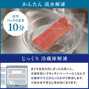 鷹島産本まぐろ本気の食べ比べプラス(大トロ・中トロ・赤身合わせて800g)【D5-006】（マグロ まぐろ 本マグロ 本まぐろ 鮪 赤身 中トロ 大トロ 冷凍 刺身 刺し身 海鮮 海の幸 魚 魚介 九