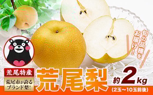 【 2025年 先行予約 】 梨 荒尾梨 和梨 約2kg なし フルーツ 果物 新鮮《2025年8月下旬‐11月中旬頃出荷》訳あり 熊本県 荒尾市産 デザート 旬の梨 幸水 豊水 あきづき 他4種 合計7種のいずれかをお届け（品種指定はできません） あたご梨
