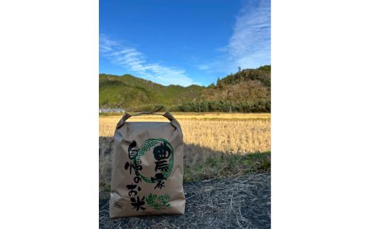 大野見米 (ブレンド米) 5kg 玄米 ご飯 米 お米 四万十 高知産