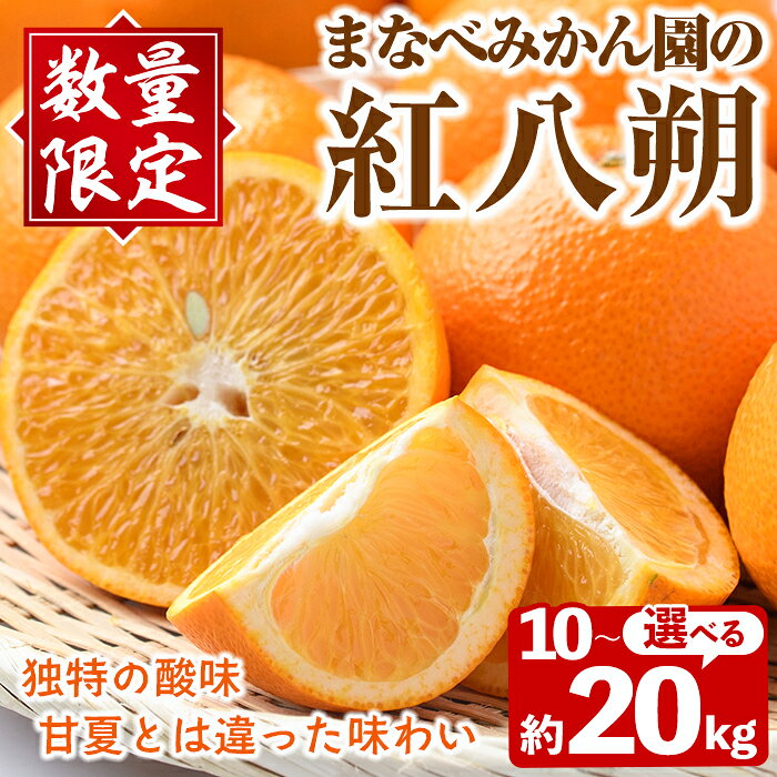 【ふるさと納税】＜先行予約受付中！2027年2月上旬以降順次発送予定＞＜内容量が選べる！＞まなべみかん園の紅八朔(約10～20kg) 国産 鹿児島県産 阿久根市産 柑橘類 果物 フルーツ べにはっさく 期間限定 数量限定 贈答用 ギフト デザート 【有限会社まなべみかん園】