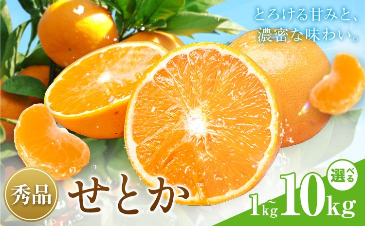 
                  せとか 秀品 選べる内容量 1kg 2kg 3kg 4kg 5kg 6kg 7kg 8kg 9kg 10kg 株式会社農業福祉研究機構《2027年2月下旬-3月下旬頃出荷》和歌山県 紀の川市 送料無料 フルーツ 果物 みかん 柑橘 ミカン 旬 旬のフルーツ お取り寄せフルーツ
                