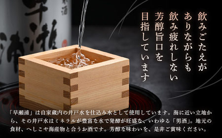 入手困難【早瀬浦】大吟醸 1800ml × 1本 ＆ 純米酒 1800ml × 2本 セット【飲み比べ 日本酒 地酒 福井 美浜 早瀬 フルーティ 男酒 硬水 ミネラル 希少 ご褒美 家飲み】[m16