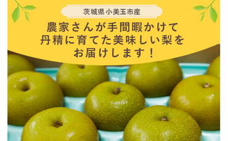 【数量限定 / 夏季限定】 梨（豊水） 約5kg 梨 なし ナシ 日本梨 ほうすい ホウスイ 17-D 【8月下旬～9月上旬発送予定】