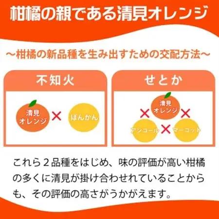 【2027年4月より発送】とにかくジューシー清見オレンジ　5kg【日高町】【1216976】