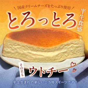 赤い看板 バスクチーズケーキ(ラムレーズン) _U145-0002