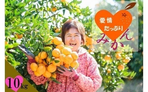
            N-218 愛情たっぷりたらみかん（大玉）10kg　みかん ミカン 蜜柑 たらみかん 太良みかん 温州みかん 完熟みかん 甘熟 早熟 柑橘 国産 佐賀県産 太良町 こだわり 有機栽培 産地直送 贈答品 詰め合わせ 極甘 大玉 数量限定
          