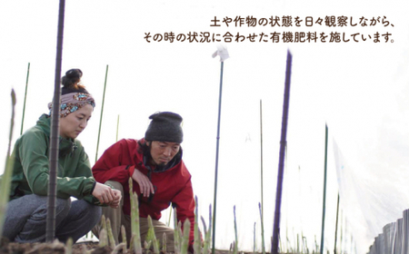 3月より発送！ TVで紹介！アスパラガス 1kg  [GBP001] アスパラ 野菜 アスパラ  