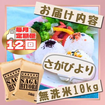 ふるさと納税 江北町 【毎月定期便】【無洗米】さがびより10kg【5kg×2袋】(江北町)全12回 |  | 02