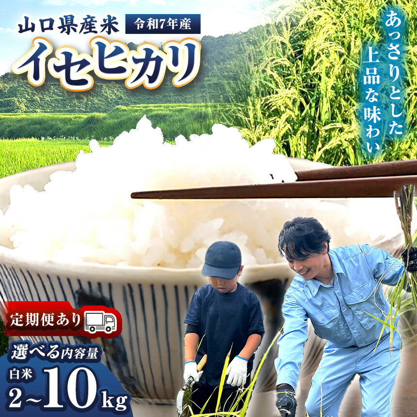 【ふるさと納税】令和7年産 山口県産米 イセヒカリ 選べる内容量 / 定期便 （ 2kg ～ 10kg ）1回 / 定期便2 ~ 3回 ｜ 令和7年産 イセヒカリ 山口県産米 こめ お米 コメ 白米 山口県 平生町 2kg 5kg 10kg