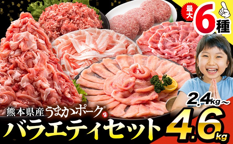 豚肉 うまか ポーク バラエティ セット 2.4kg 4.6kg 豚肉 しゃぶしゃぶ 切り落とし 豚ロース バラ 豚バラ スライス 以上 定期便 真空 不揃い 数量限定 簡易包装 冷凍配送 小分け 《11月出荷》 豚肉---oz_fbrets_ac11_25_11500_2400g---