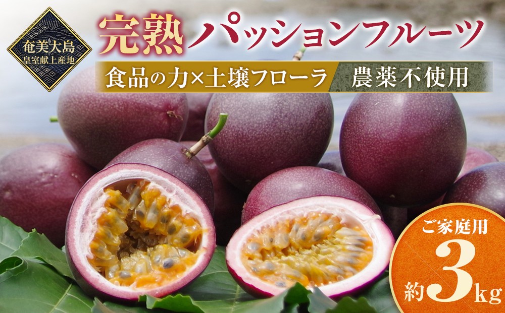 
                  先行受付【農薬・除草剤不使用】奄美大島農家直送　樹上完熟パッションフルーツ３kg | 先行予約 産地直送 パッションフルーツ フルーツ 果物 南国 新鮮 甘み 奄美大島
                