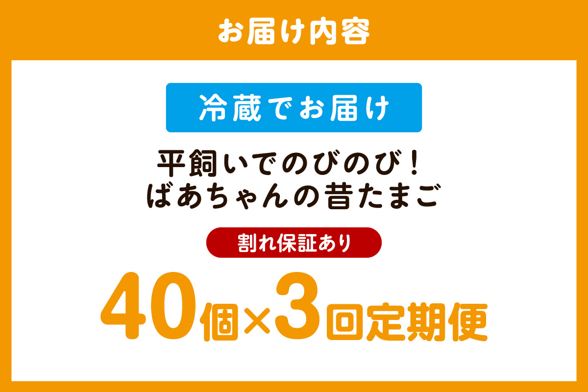 【3回定期便】平飼いで のびのび！ばあちゃんの昔たまご 40個/月 割れ保証あり 999-B618