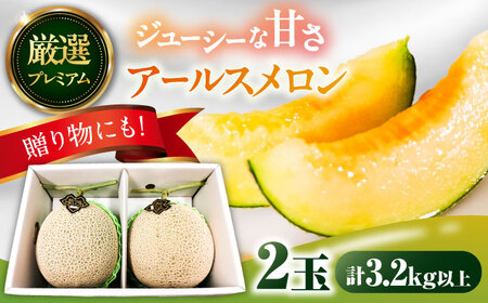 【2026年7月下旬-発送】アールスメロン 2玉 [SAD004] メロン