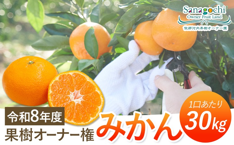 【CF】令和8年度果樹オーナー権（みかん）---sanagouchi_sko_8_1k---