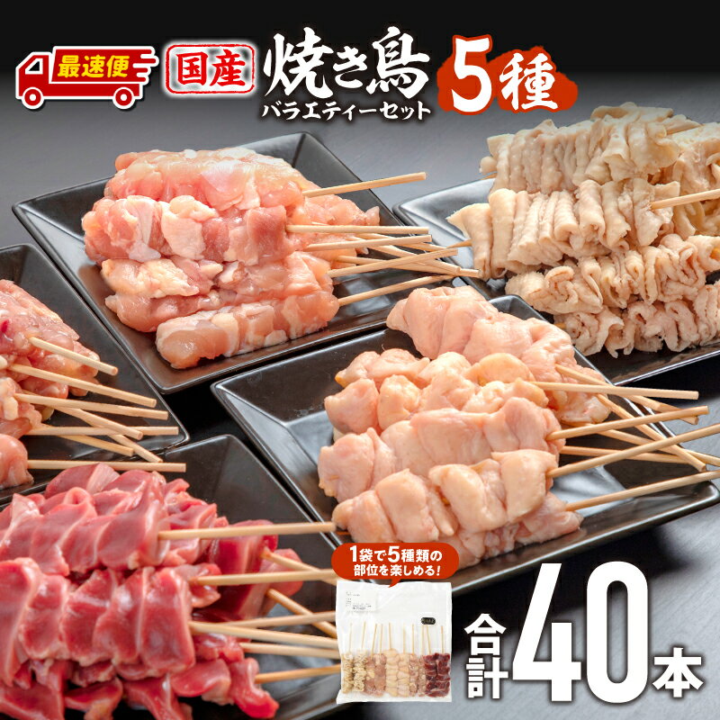 【ふるさと納税】【発送時期が選べる】若鶏の焼き鳥セット5種(40本)バラエティーセット 焼き鳥 串焼き 焼き鳥串 セット 詰め合わせ もも せせり 皮 ぼんじり 砂肝 部位 国産 鶏肉 肉 お肉 BBQ 若鶏 冷凍 パック 焼鳥セット おすそ分け おかず 惣菜 お惣菜 ふるさと