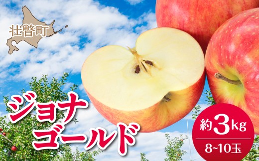 【先行予約】北海道壮瞥町産りんご「ジョナゴールド」約3kg(8～10玉)＜2026年10月下旬よりお届け＞【ふるさと納税 人気 おすすめ ランキング りんご リンゴ 林檎 じょなごーるど 甘い 蜜入り ジュース 酢 送料無料】 SBTF018