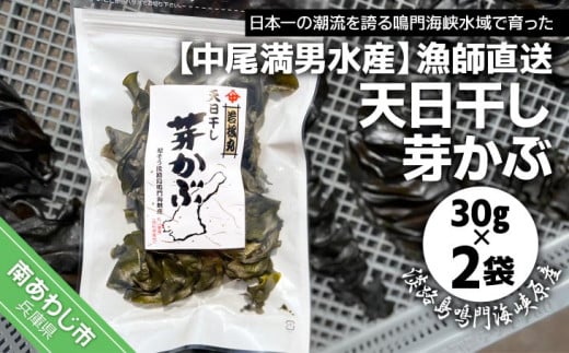 【中尾満男水産】【漁師直送】天日干しめかぶ30ｇ×2袋【淡路島鳴門海峡原産】