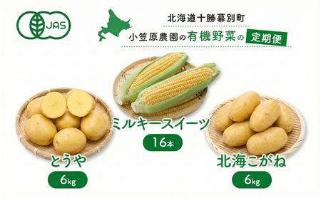 定期便 夏秋2回 とうもろこし12本・じゃがいも2種×6kg 有機野菜