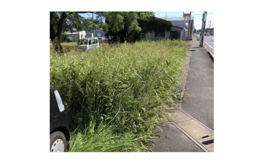 
休耕田・耕作放棄地草刈り作業　100平方メートル＜サービス提供地域:福岡県吉富町＞【1280861】
