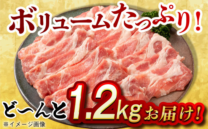 肉 豚 ぶた ブタ ロース 焼肉 焼き肉 しゃぶしゃぶ 小分け 西海市 長崎 九州 定期便