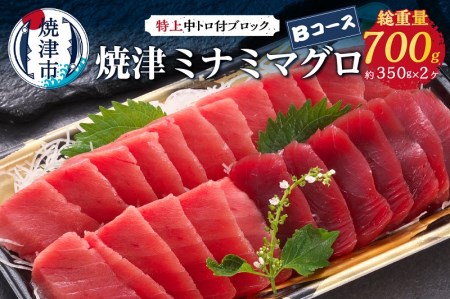 焼津ミナミマグロBコース (a24-038)
