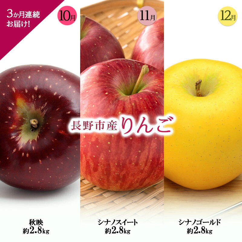 【ふるさと納税】長野市産りんご3か月連続お届け！【1か月目】秋映約2.8kg【2か月目】シナノスイート約2.8kg【3か月目】シナノゴールド約2.8kg2025年10月～12月まで発送　お届け：2025年10月上旬～2025年12月下旬まで