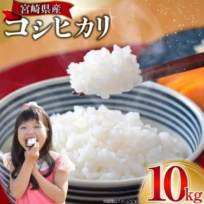 ふるさと納税 日向市 宮崎県産 コシヒカリ 新米 白米 10kg【令和7年産】