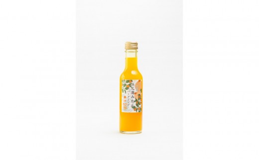 
            小田原産江之浦みかんスパークリング果汁入り飲料果汁５０％２００ml３０本
          