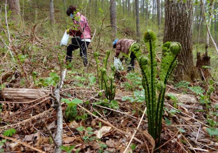 南相木村の自然体験利用券（1万円分）