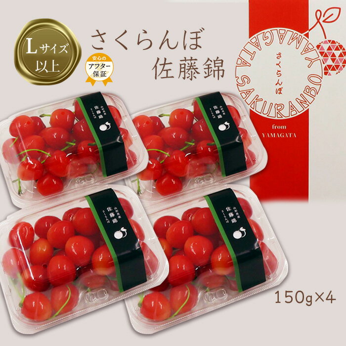 【ふるさと納税】【2025年6月発送】「秀品」さくらんぼ佐藤錦約600g（L以上・150g×4パック詰）_H109(R7)