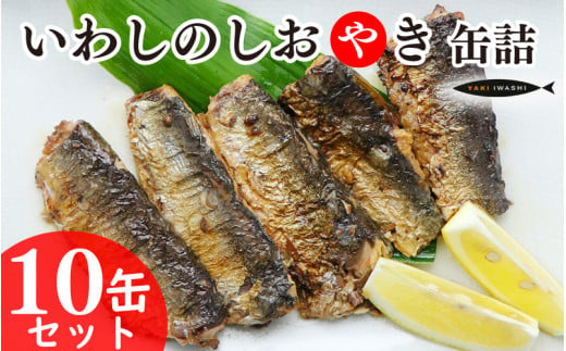 いわしのしおやき缶 10缶セット いわし イワシ 鰯 まいわし マイワシ 缶詰 魚介 国産 安心 贈答 ギフト 贈り物 夕飯 アレンジ おつまみ おかず 惣菜 美味しい 保存食 非常食 ローリングストック 長期保存 常温 青魚 健康 防災 備蓄 千葉県 銚子