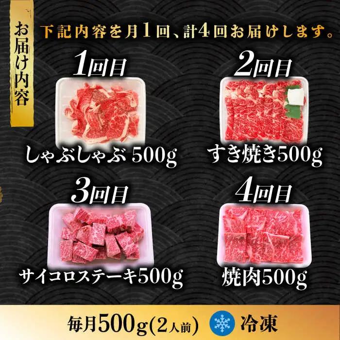 【4回定期便】 飛騨牛 プレミアム 定期便 2人前 ( しゃぶしゃぶ × すき焼き × サイコロステーキ × 焼肉 ) 各500g[TAZ046]牛