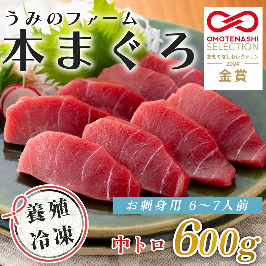 【ふるさと納税】国産 養殖本マグロ 中トロ600g｜刺身用 冷凍 まぐろ 鮪 柵 家庭用 夫婦 晩酌 ギフト 御歳暮 御中元 内祝い 手土産 海鮮丼 寿司 手巻き 急速冷凍 解凍簡単 贈答 お祝い 年末年始 産地直送 配達日指定可 うみのファーム 高知県