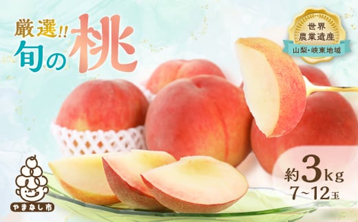 ＜2026年先行予約＞厳選!旬の桃　約3kg(7玉～12玉)＜離島・沖縄配送不可＞【1395535】