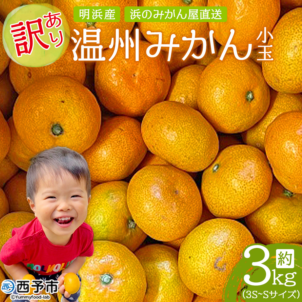 ＜訳あり 温州みかん 小玉 約3kg＞ 明浜産 果物 フルーツ みかん 蜜柑 ミカン うんしゅうみかん ウンシュウミカン オレンジ 柑橘 家庭用 食べて応援 特産品 浜のみかん屋 直送 愛媛県 西予市 【常温】『2024年11月上旬～12月中旬迄に順次出荷予定』