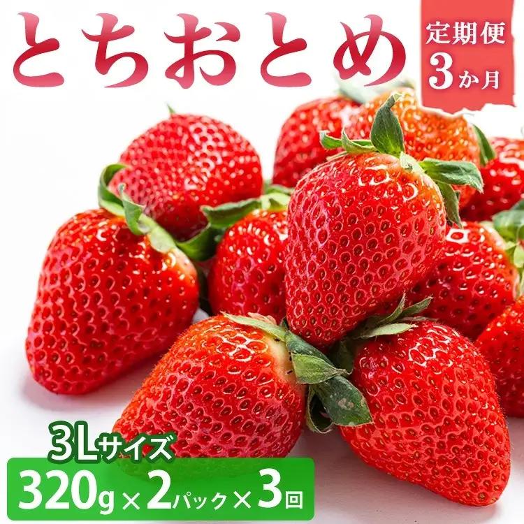 ＜いちご3か月定期便＞栃木県産とちおとめ 320g×2パック 3Lサイズ 3回 | 苺※2027年1月～発送