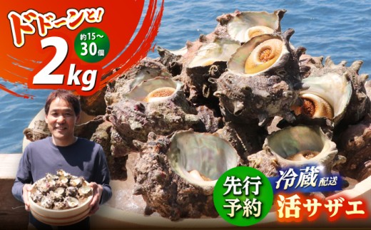 先行予約 2026年6月発送 サザエ 天然 活サザエ 2kg 15～30個 朝獲れ BBQ 【期間限定】【配送不可地域：北海道・沖縄・離島】 小浜市 / 桝屋商店 [BFAO015]