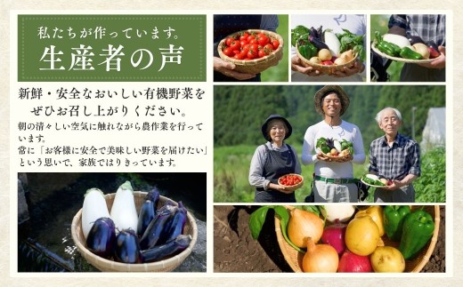 西田農園 季節の有機野菜詰合せ 野菜Aセット 旬の野菜 野菜セット | 野菜セット 野菜せっと 小松市  da001n00