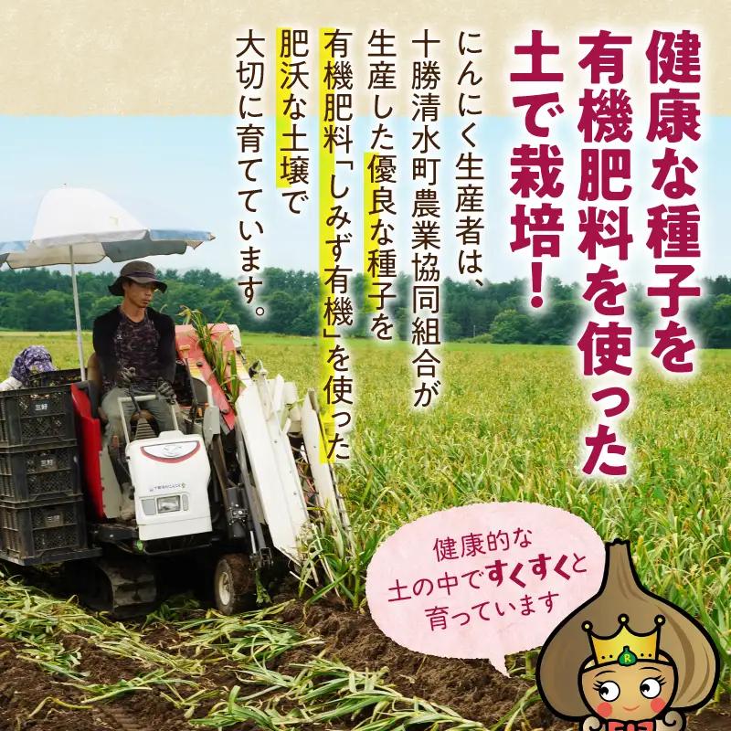 北海道十勝清水の「熟成黒にんにく」(6玉入)×2箱_S021-0006