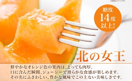 北海道 赤肉メロン 北の女王 青肉メロン 月雫 秀品 約1.6kg 各1玉 メロン 果物 フルーツ 旬 希少 甘い 豊潤 国産 ご褒美 産地直送 ギフト お祝い 贈答品 贈り物 お中元 常温 お取り寄