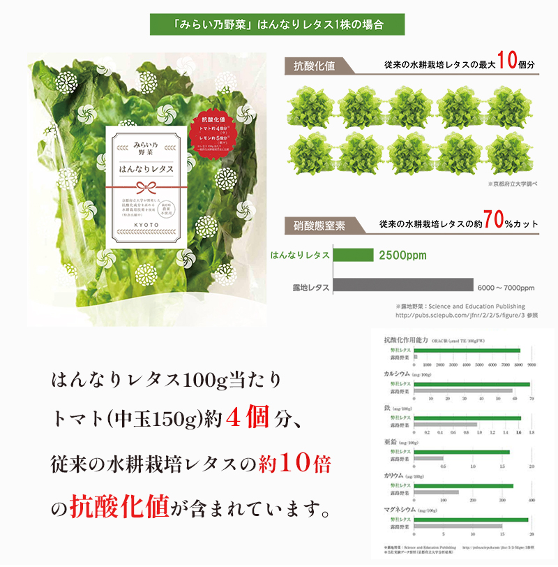 みらい乃野菜 はんなりレタス 12袋 720g レタス 袋入 水耕栽培 野菜 れたす 葉物 サラダ 高抗酸化値 低硝酸態窒素 小分け 小袋 そのまま 食べれる 健康 身体にやさしい お試し 贈答 熨斗