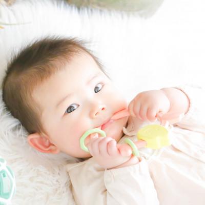 ふるさと納税 水俣市 お米のなめかみ【いろどり】 |  | 01