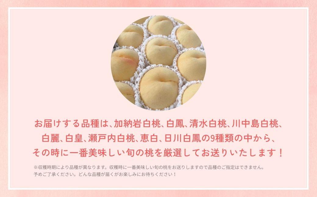＜数量限定＞［なんばふぁーむ］岡山県産 旬の桃 4.0kg（11～14玉）［ご家庭用］【2026年発送】