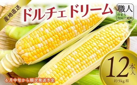 【2025年6月中旬から発送】とうもろこし ドルチェドリーム 12本入り 横田農園 （山梨県市川三郷町産）[5839-2234]