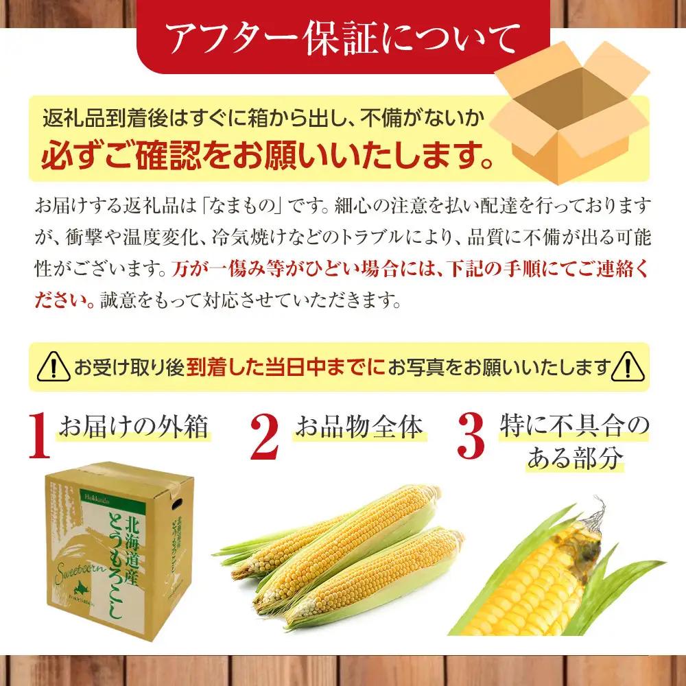 【先行予約】あさひやま動物園しろくまコーン3.2kg(ホワイトレディもしくはピュアホワイト8本)2026年8月下旬から発送開始 | とうもろこし とうもろこし 北海道 _03811