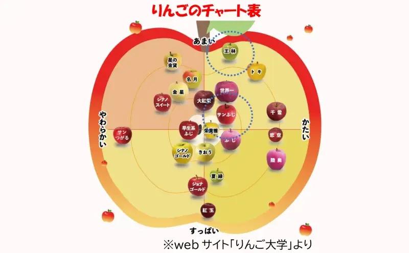 りんご 【1月発送】糖度13度～ 贈答用 サンふじ 王林 約5kg　リンゴ 林檎 青森りんご 糖度 13度 甘い 酸味 デザート フルーツ 果物 お取り寄せ 産地直送 旬 季節限定 弘果物流 青森県 